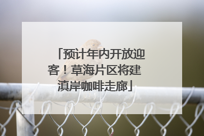 预计年内开放迎客！草海片区将建滇岸咖啡走廊